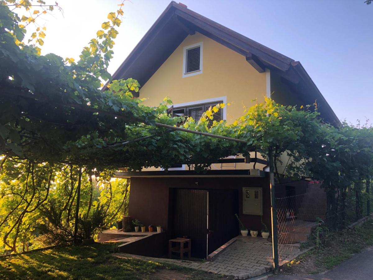 Adorable Guesthouse In The Middle Of Vineyards Ptujska Gora Экстерьер фото